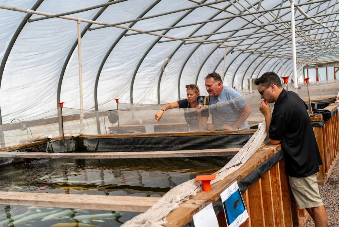 Koi Fest officially began Friday, Aug. 21, with our Special Access experience at the Fitz&rsquo;s Fish Ponds farm.