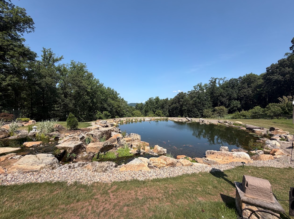 Owner and CEO Brian Fitzsimmons returns to share how the pond has matured, what the team has learned, and why the best ecosystem ponds keep getting better with time.