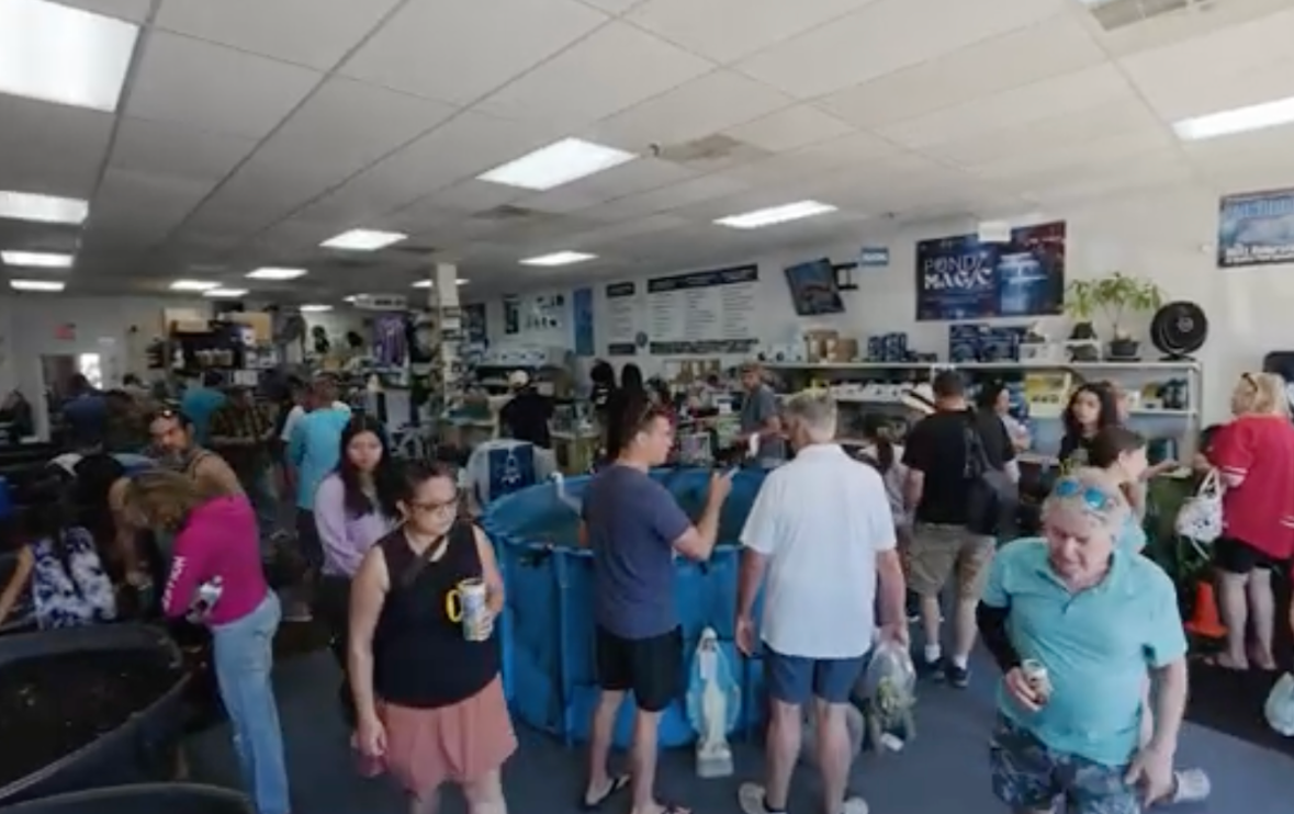 The Mount Holly store now provides another local destination for customers searching for Japanese koi while also connecting serious collectors with FFP's much larger inventory at its Milford, New Jersey, koi farm.