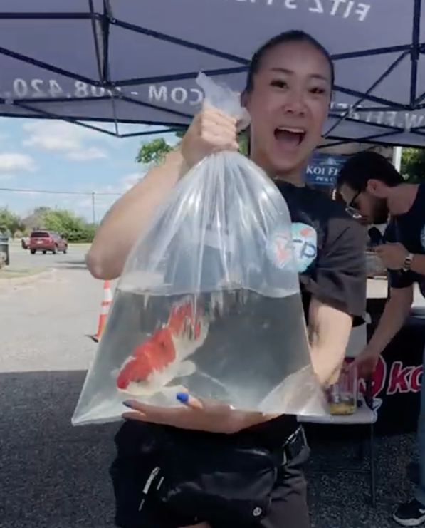 FFP describes itself as the largest U.S. importer of Japanese koi and says its team travels to Japan multiple times each year to select fish directly from breeders.