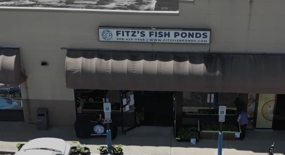 Formerly home to Lily Pond Emporium, the location has deep roots in the local pond community &mdash; roots that Fitz&rsquo;s Fish Ponds is proud to preserve as it introduces expanded access to Japanese koi, aquatic plants, pond supplies, construction, maintenance, and professional water-feature services throughout South Jersey.
