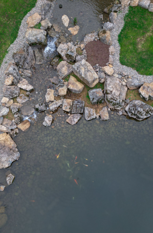 The pond build demonstrated what the industry can accomplish through cooperation. Koi Fest gave the wider community a chance to celebrate that same spirit.