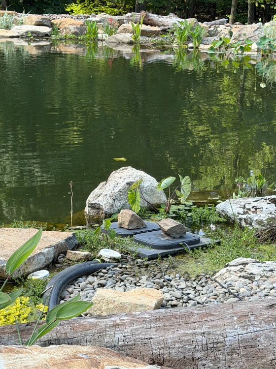 The skimming system, for example, couldn't be installed exactly the way we would approach a conventional koi pond with a predictable waterline. We had to position it lower in the pond and creatively disguise the mechanical components using faux-rock covers and surrounding stone.