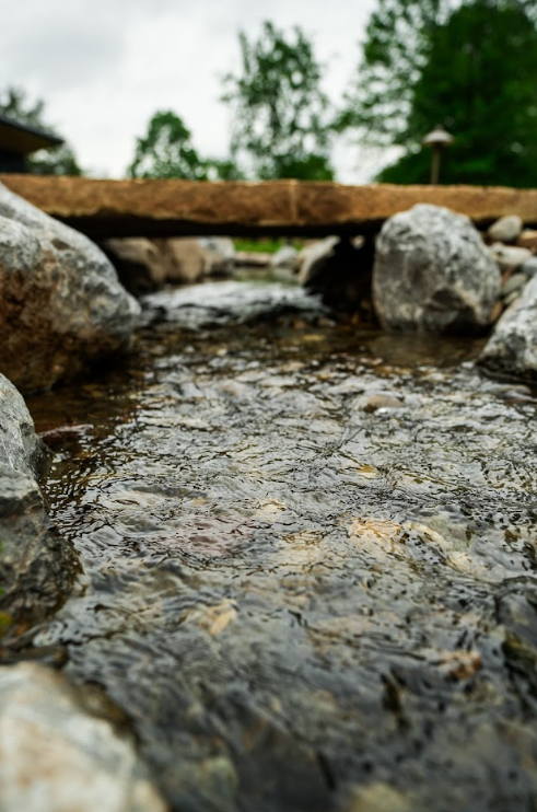 One of the most exciting aspects of a naturalistic water feature is that completion of construction isn't really the end of the project.