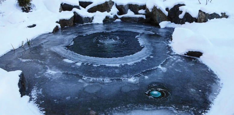 Feeding is one of the fastest ways to pollute a pond right before winter. Koi digestion slows as water cools, and the &ldquo;same food, same schedule&rdquo; routine backfires.