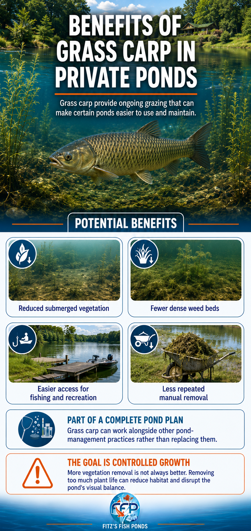 One of the main reasons pond owners consider grass carp is convenience. Aquatic weeds can grow quickly during warm weather, and repeated cutting, raking, or pulling can become exhausting in larger ponds. One of the main reasons pond owners consider grass carp is convenience. Aquatic weeds can grow quickly during warm weather, and repeated cutting, raking, or pulling can become exhausting in larger ponds.