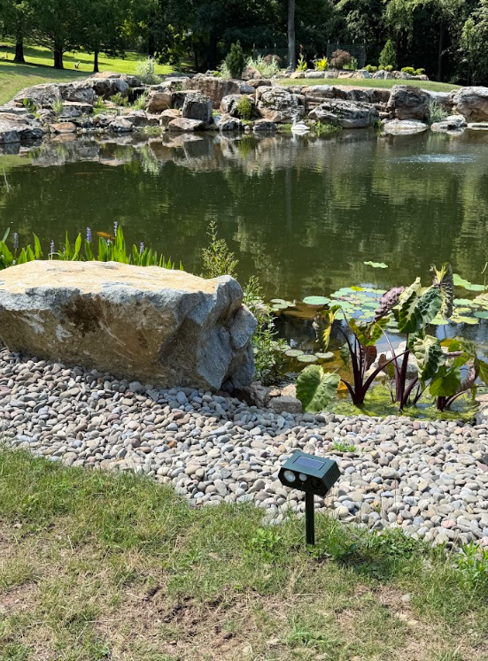 Nearly every major stone we used came directly from Sasha's property. During construction, our team went into the surrounding woods with heavy equipment to extract and transport the boulders. Sasha has lived on the property for decades and knows the woods extremely well, so he could identify the particular stones he wanted us to incorporate.