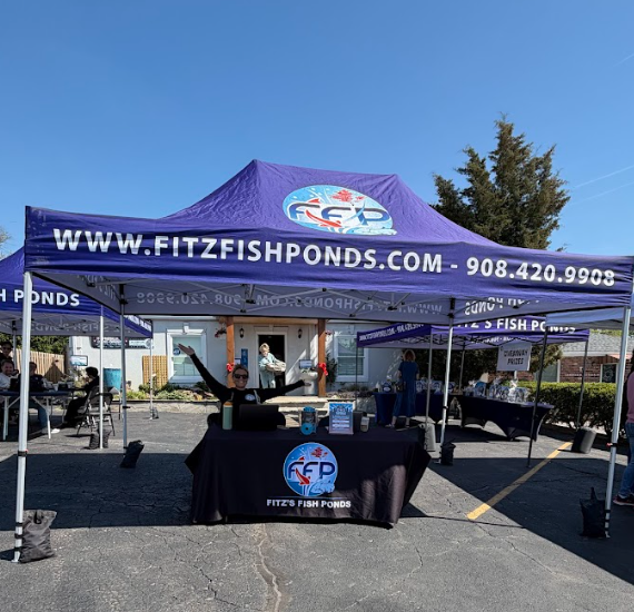 As the Grand Opening weekend came to a close, one thing was clear&mdash;the momentum is just beginning. Fitz&rsquo;s Fish Ponds looks forward to continuing to serve the Tennessee community, host future events, and create more opportunities for customers to engage, learn, and grow within the hobby.