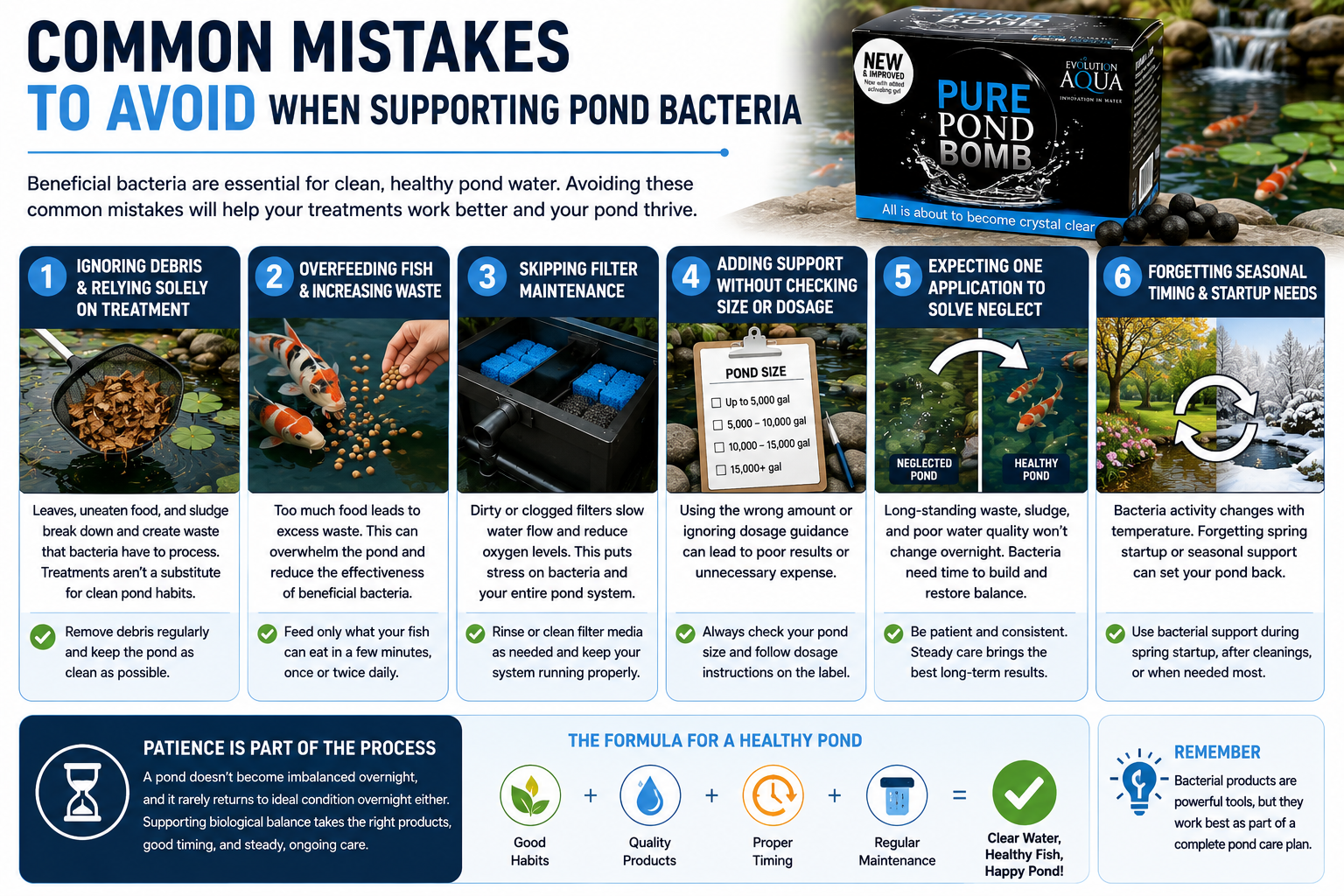 Common Mistakes To Avoid When Supporting Pond Bacteria Common Mistakes To Avoid When Supporting Pond Bacteria