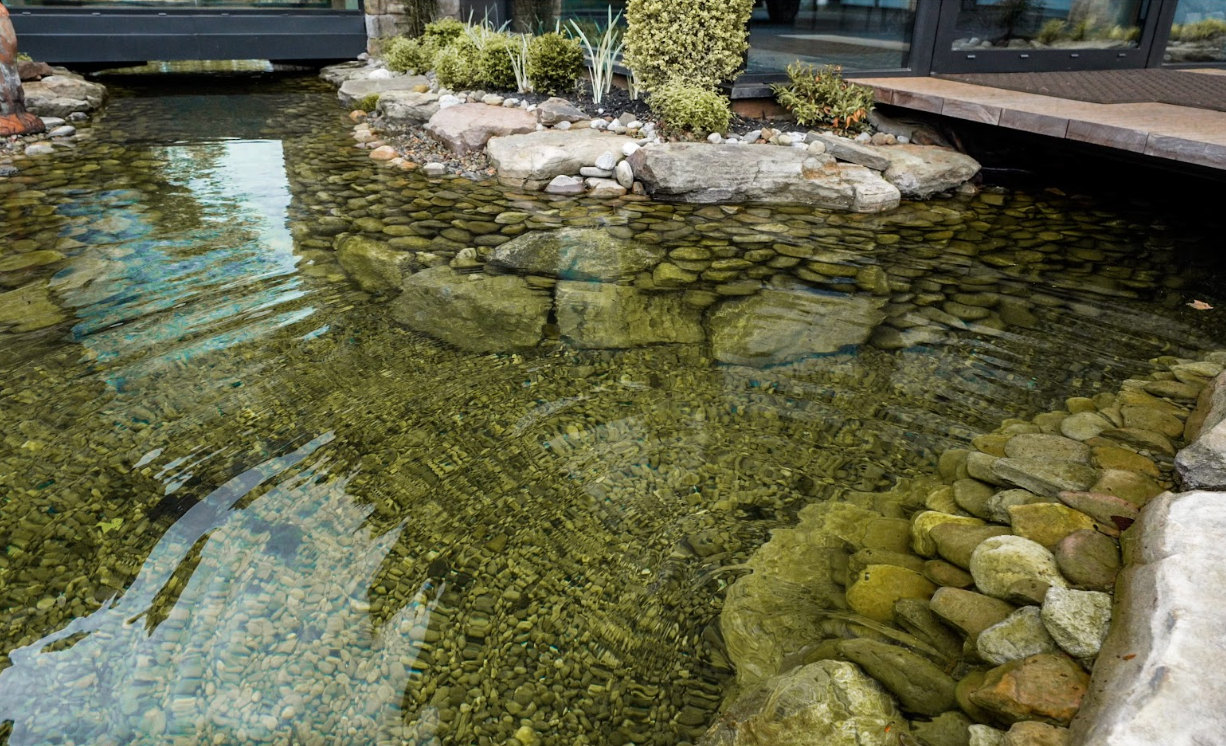 The filtration system was designed to move and treat water throughout the extensive footprint while keeping as much mechanical equipment as possible out of sight. The pond incorporates an undergravel suction grid filtration system along with two 36-inch K+ Micro bead filters.