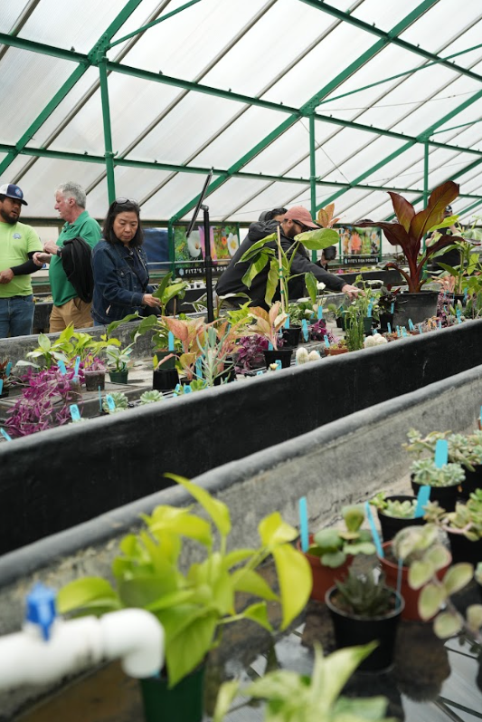 Plant Fest 2026 at Fitz&rsquo;s Fish Ponds Saddle River celebrated aquatic plants, houseplants, koi, water gardening, food, music, and community.