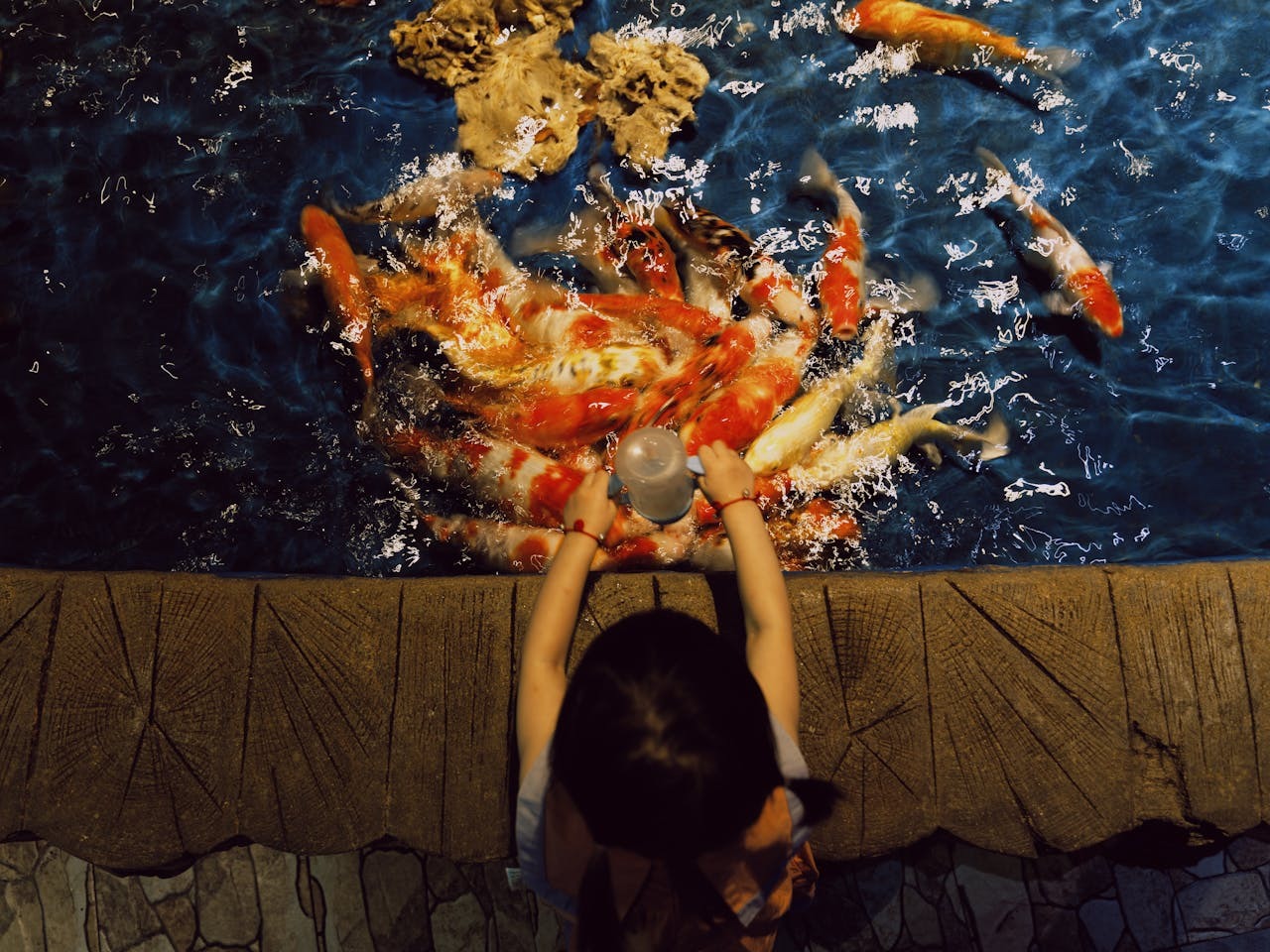 Many pond owners continue their regular feeding schedule indoors. That&rsquo;s a mistake. Fish eat less in cooler water and often rest more during the winter months. Overfeeding in an indoor setup can lead to waste buildup, ammonia spikes, and cloudy water.