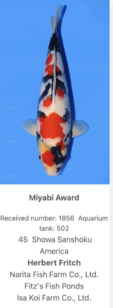 Herbert Fritch earned two Category Excellence honors with 95-bu Kawarimono entries&mdash;one light-changing carp bred by Narita Fish Farm Co., Ltd. and Sakai Fish Farm Co., Ltd., and another varied carp bred by Narita Fish Farm Co., Ltd. and Konishi Koi Farm Co., Ltd.