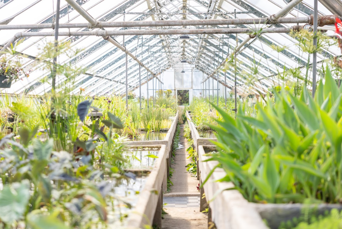The site, formerly known as Waterford Gardens, had fallen into disrepair in recent years. Overgrown ponds, a damaged greenhouse, and declining infrastructure left the space in need of substantial investment.