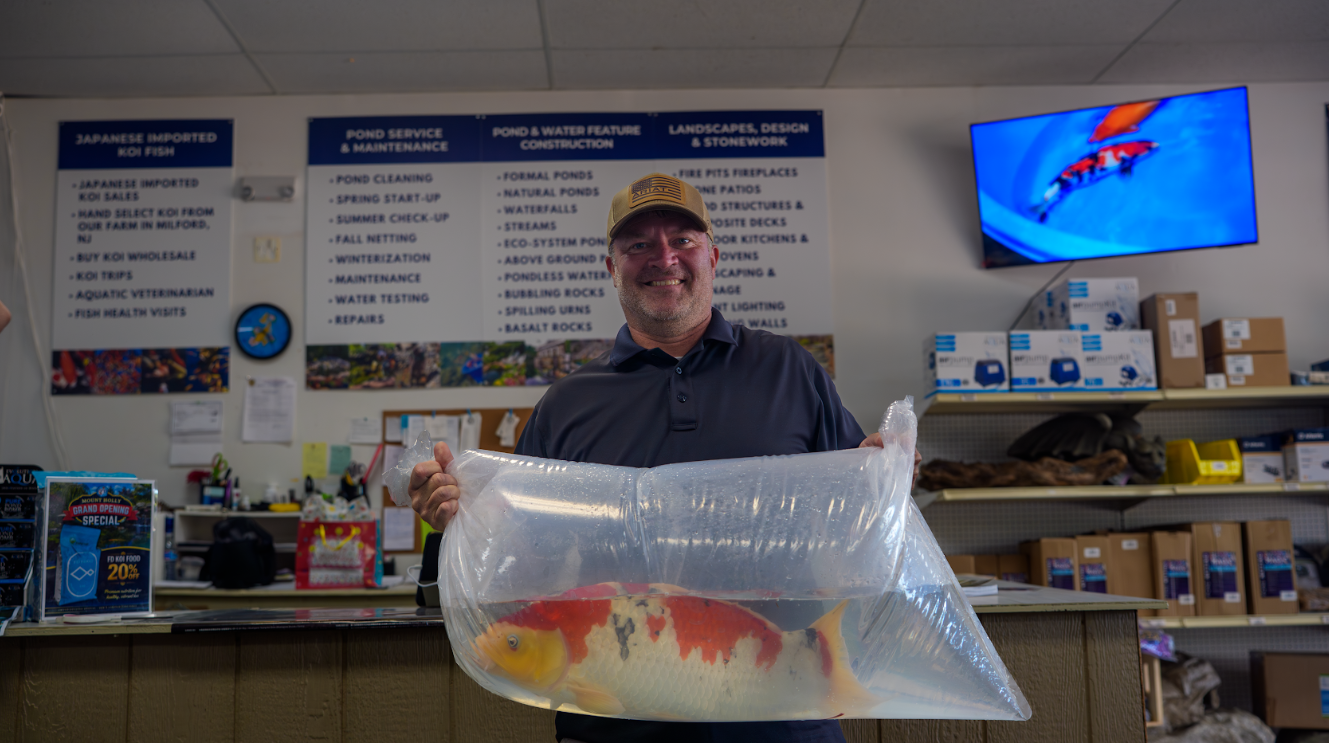 The first 25 customers received a free Tosai koi, kicking off a full schedule of giveaways that continued every hour throughout the event.