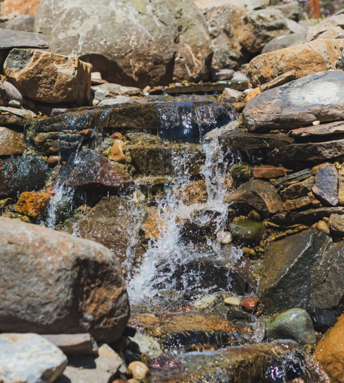Inspiration & Custom Water Gardens