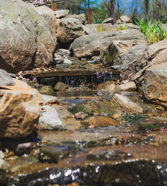 Ready to Bring Your Backyard Stream to Life?