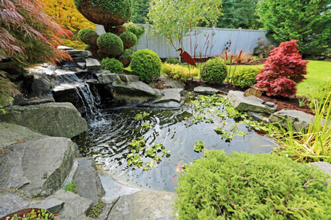 Natural elements like rocks, stones, and driftwood make great additions to koi pond decorations because they are both functional and attractive.