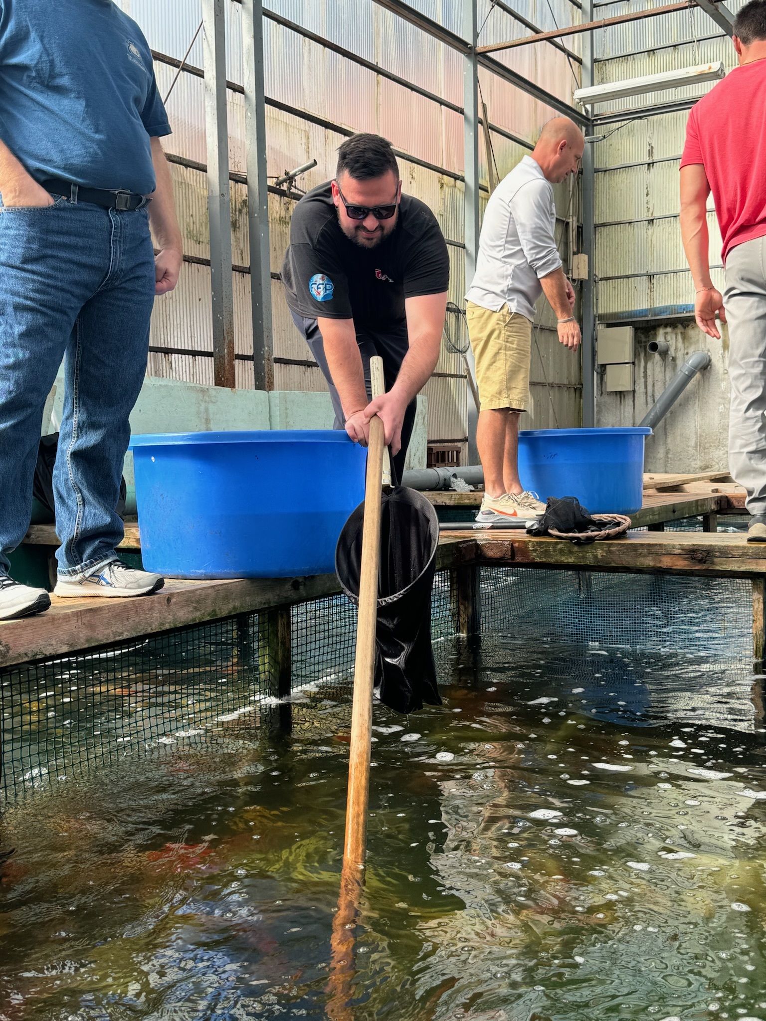 Join us in celebrating the beauty, tradition, and passion that define Japanese koi.