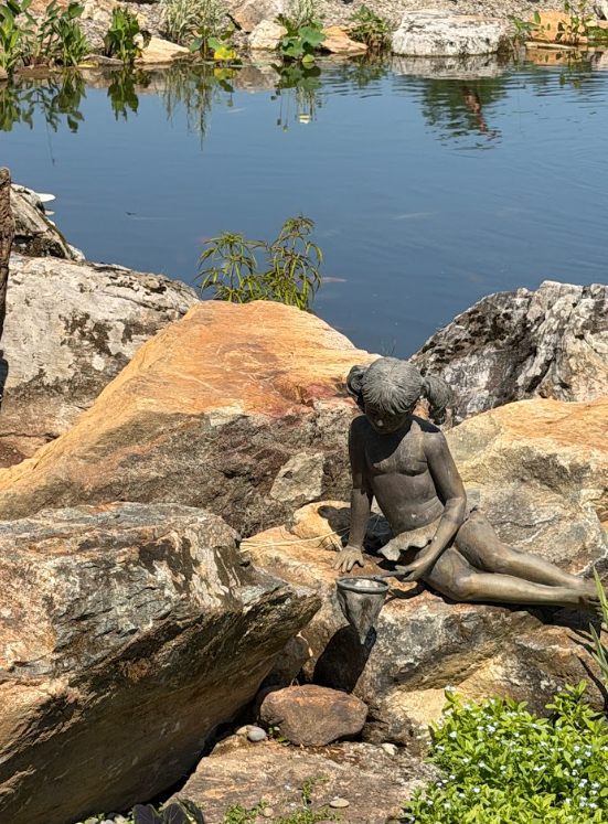 Small amounts of plant material and natural food sources travel with the water and collect near the base of the falls. The koi have figured this out. They gather there and wait to see what comes down.