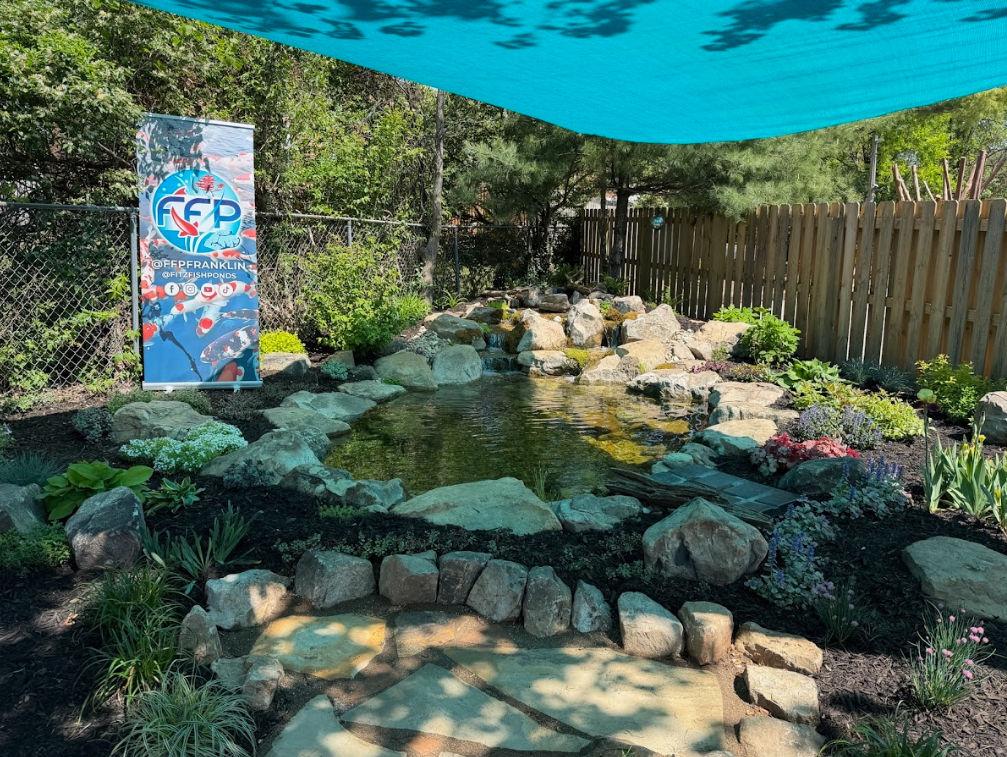 In addition to the giveaways, the weekend featured special promotions, in-store experiences, and countless moments of connection between customers and the Fitz&rsquo;s team. Whether guests were asking questions about pond builds, learning more about koi care, or simply enjoying the lively atmosphere, the event reflected what Fitz&rsquo;s Fish Ponds is all about&mdash;community, education, and passion for the industry.