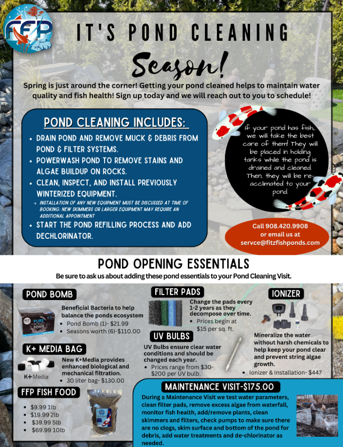 koi-pond-cleaning-special-fitz-fish-ponds.png