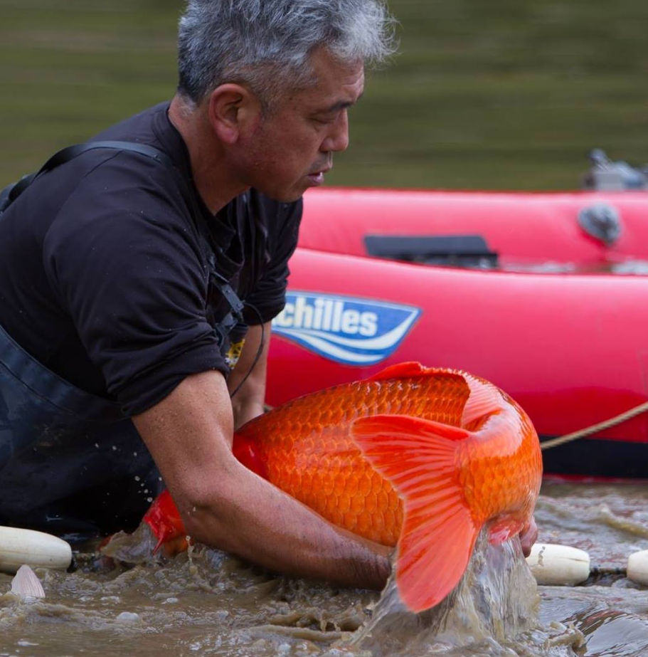 Marusei is often described as a high-scale Niigata operation, and that scale shows up in variety selection and availability.