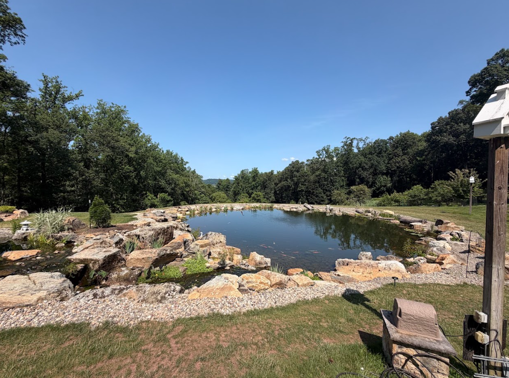 We designed this as a recreation pond, which means the family isn't limited to looking at it from a patio. They can get into the water. They can walk through parts of the feature. They can explore the shoreline, interact with the koi, and experience the pond from completely different perspectives.