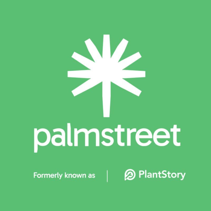 House Plants are Now Live on Palmstreet ?
