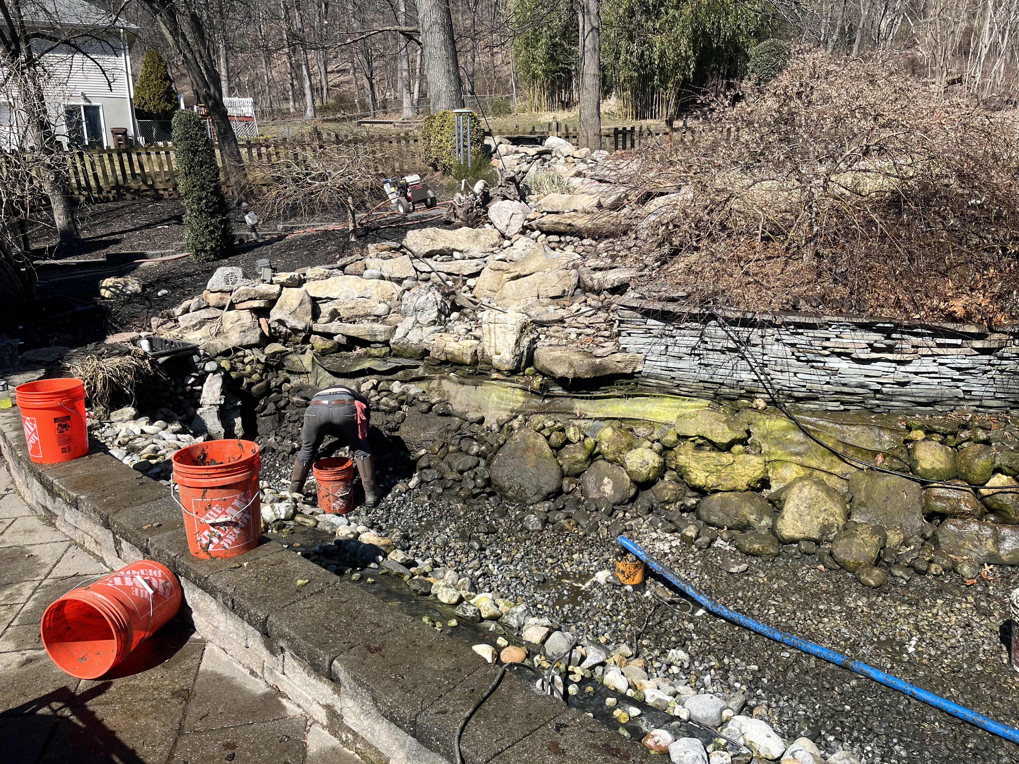 A well-maintained koi pond provides a thriving environment for fish, plants, and beneficial bacteria. Without proper upkeep, waste accumulates, leading to ammonia and nitrate buildup that harms aquatic life.