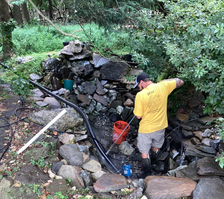 process-of-cleaning-a-koi-pond.png