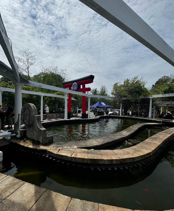 Behind every koi and bloom is a dedicated team committed to quality, service, and customer experience. Fitz’s Fish Ponds sources koi from leading breeders in Japan and maintains one of the most comprehensive selections of aquatic plants in the region.
