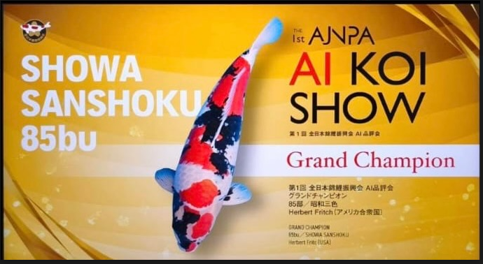 Mr. Herbert Fritch, has been awarded Grand Champion at the inaugural AI Koi Show hosted by the All Japan Nishikigoi Promotion Association (AJNPA).