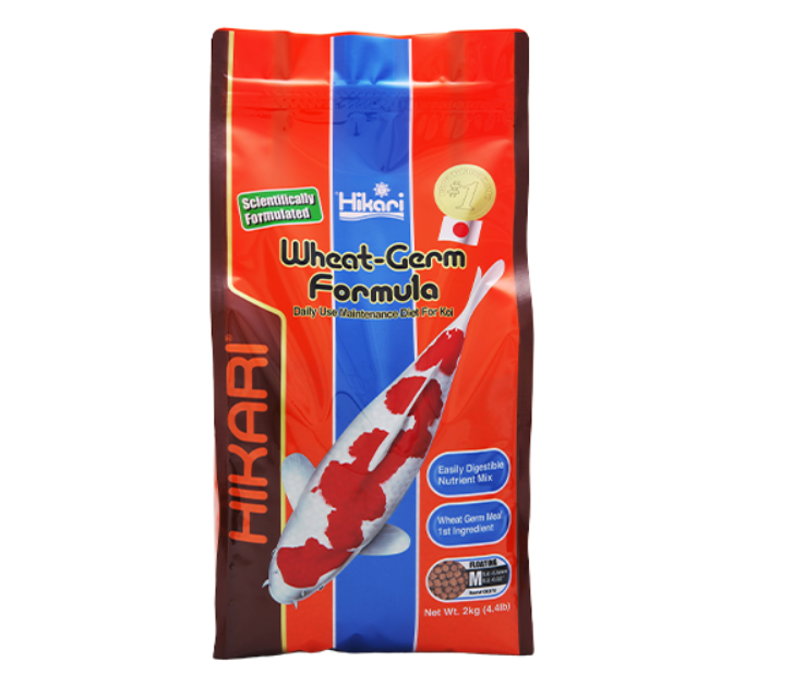 Water temperature determines feeding habits. Once water drops below 50 degrees Fahrenheit, digestion slows. Wheat germ-based food is easier to process during this stage.