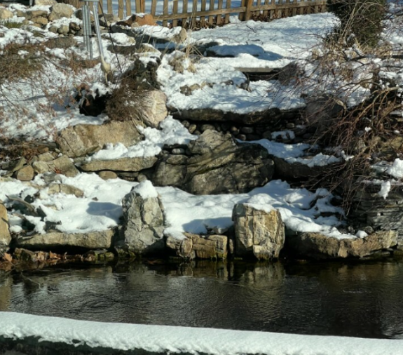 Freezing weather need not threaten your koi pond. Preparation before the first freeze, consistent monitoring throughout winter, and proper equipment configuration create a stable environment for your fish.