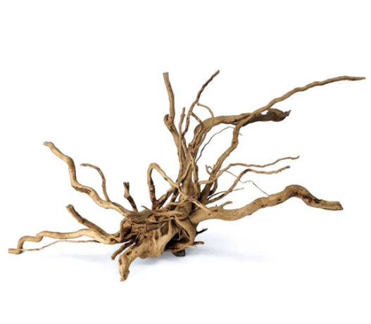 Spider Wood (Red Moor Wood): A favorite among aquascapers, spider wood features intricate branching structures that resemble tree roots. Initially light in color, it darkens over time and is ideal for creating dynamic, natural layouts. Spider Wood (Red Moor Wood): A favorite among aquascapers, spider wood features intricate branching structures that resemble tree roots. Initially light in color, it darkens over time and is ideal for creating dynamic, natural layouts.