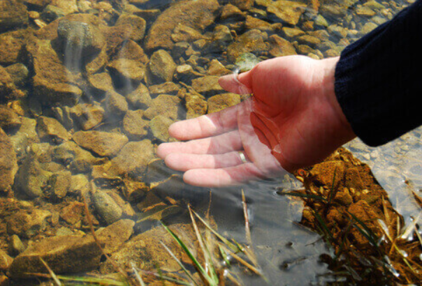 A solid routine is to test pond water before winter prep, then test again about a week later. That second test catches surprises early.
