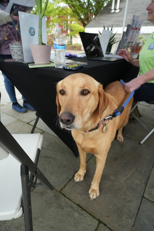 Plant Fest 2026 at Fitz&rsquo;s Fish Ponds Saddle River celebrated aquatic plants, houseplants, koi, water gardening, food, music, and community.