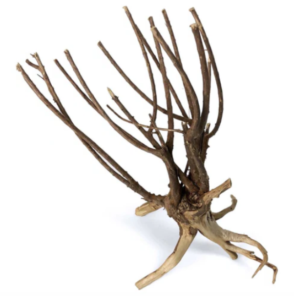 Tiger Wood: Tiger Wood is a great choice for aquascaping when you want dramatic structure and a more striking visual impact. Its tall, delicate branches can create a tree-like effect, making it ideal for forest-style layouts or designs where the wood rises above the waterline. It’s also great for attaching mosses and epiphyte plants, which adds even more depth and character to an aquascape. Tiger Wood: Tiger Wood is a great choice for aquascaping when you want dramatic structure and a more striking visual impact. Its tall, delicate branches can create a tree-like effect, making it ideal for forest-style layouts or designs where the wood rises above the waterline. It’s also great for attaching mosses and epiphyte plants, which adds even more depth and character to an aquascape.