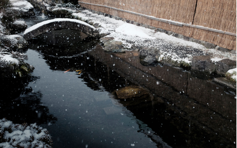 Plants help in summer, but in fall, they can create an extra organic load if dead stems and dying leaves drop straight into the pond. The goal is to prevent rot in place by trimming plants in time for winter.&nbsp;