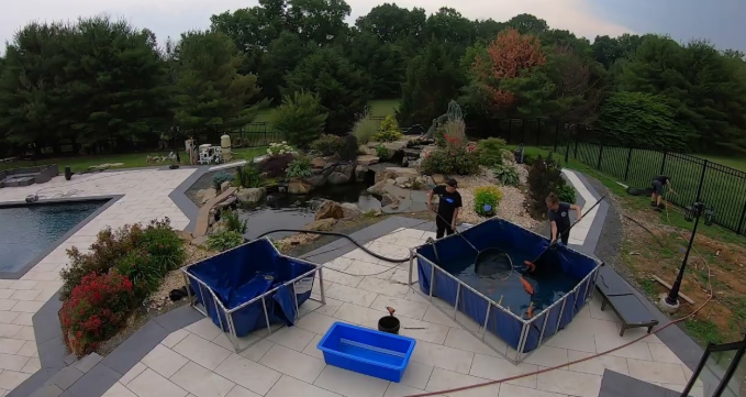 Keeping koi happy starts with a healthy pond—and that’s exactly what our Pond Maintenance Services are built for. From seasonal cleanings to year-round care, Fitz’s Fish Ponds handles every detail so you can focus on enjoying your water garden instead of managing it.