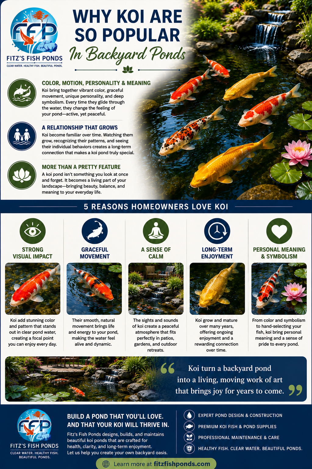Koi are popular in backyard ponds because they bring together color, motion, personality, and meaning. Unlike a static garden feature, koi change the feeling of a pond every time they move through the water. They make the space feel active, yet still peaceful.